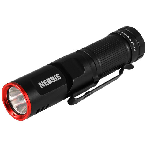 Ліхтар Falcon Eye Nessie (500 Lm) Magnetic Rechargeable Type-C (FHH0140)