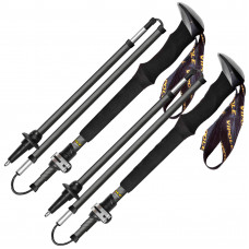 Палиці трекінгові Vipole Approach Long Carbon 130 DLX (S25 42)