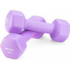 Гантелі для фітнесу неопренові Gymtek Hex 2х2кг бузковий