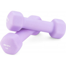 Гантелі для фітнесу неопренові Gymtek Hex 2х1кг лавандовий
