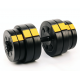 Набір Besport PowerPro гантелі 2х31кг з лавою WB-002