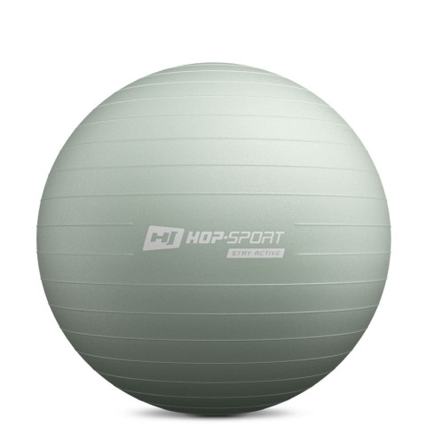 Фітбол Hop-Sport 65см шавлієвий + насос