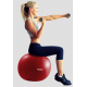 Фітбол York Fitness 55см червоний + насос