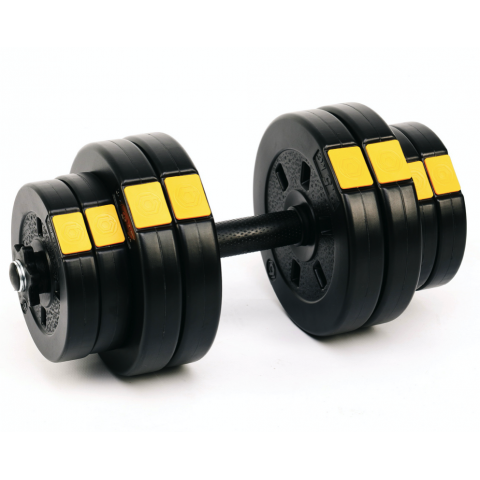 Гантелі розбірні Besport PowerPro 2х16кг