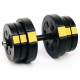 Набір Besport PowerPro гантелі 2х21кг з лавою WB-002