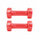 Гантелі вінілові inSPORTline Smoothbell 2 x 1,5 кг