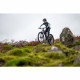 Електровелосипед MONDRAKER F-TRICK 24 120mm, Tonic Gold