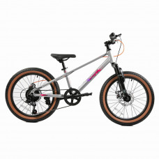 Велосипед дитячий RoyalBaby 20 JUNIOR MTB ALLOY 7 SPEED, OFFICIAL UA, Silver