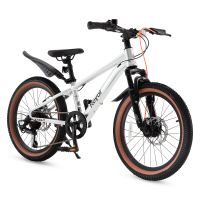 Велосипед дитячий RoyalBaby 26 KING-PLUS 21 SPEED, OFFICIAL UA, Silver