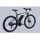 Велосипед з електроприводом 29" AL Formula eF-1 DD CS рама-21" 48B 12.5А*г 500Вт сріблясто-чорний 2026
