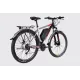 Велосипед з електроприводом 29" AL SPACE ePHAETON DD FR рама-20" 48 B 17.5 А*г 500 Вт сіро-сріблястий 2026